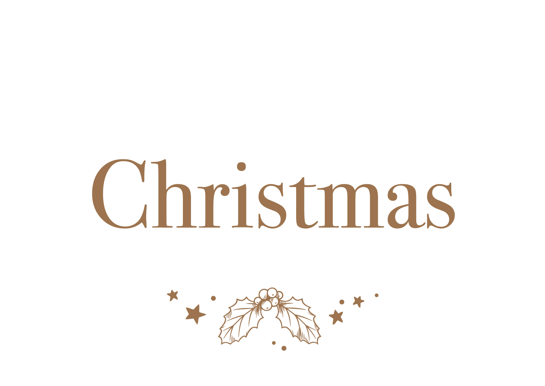 christmas-menu-patiala